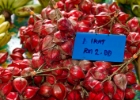 IMG 1356 : 2013	Borneo