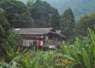 MG 1425  local housing out in the country : 2013	Borneo