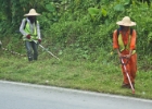 MG 1493  mowing along the highway : 2013	Borneo
