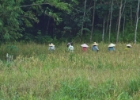 MG 1525 : 2013	Borneo