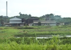 MG 1533  palm oil factory : 2013	Borneo