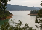 MG 1584 : 2013	Borneo
