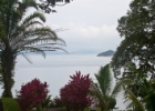 MG 1587 : 2013	Borneo