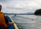MG 1606 : 2013	Borneo