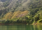 MG 1679  farming on the side of a hill : 2013	Borneo