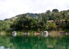 MG 1687 : 2013	Borneo
