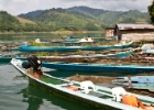 MG 1694 : 2013	Borneo