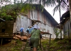 MG 1701  up we go : 2013	Borneo