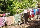 MG 1712  laundry : 2013	Borneo