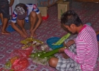 MG 1725 : 2013	Borneo