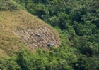 MG 1832  farming on the steep hillsides : 2013	Borneo