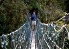 MG 1899  Jim crossing the canopy bridge : 2013	Borneo