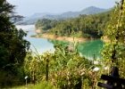 MG 1909 : 2013	Borneo