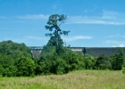 MG 1940  dam : 2013	Borneo