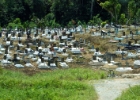 MG 2080  cemetery : 2013	Borneo