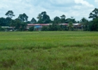 MG 2133  longhouse : 2013	Borneo