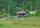MG 2186  local housing : 2013	Borneo
