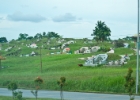 MG 2299  lots of cemeteries : 2013	Borneo