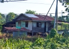 MG 2750  local residence : 2013	Borneo