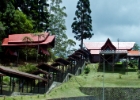 MG 2939  we arrived at Guning Kinabulu National prk : 2013	Borneo