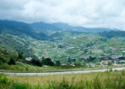 MG 2942  leaving the park on the drive to Poring Hot Springs : 2013	Borneo
