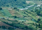 MG 2956  farmland : 2013	Borneo