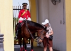 MG 0256  the horse didn&#39;t like Carol : 2013	Borneo